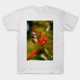 A Petal Drops T-Shirt